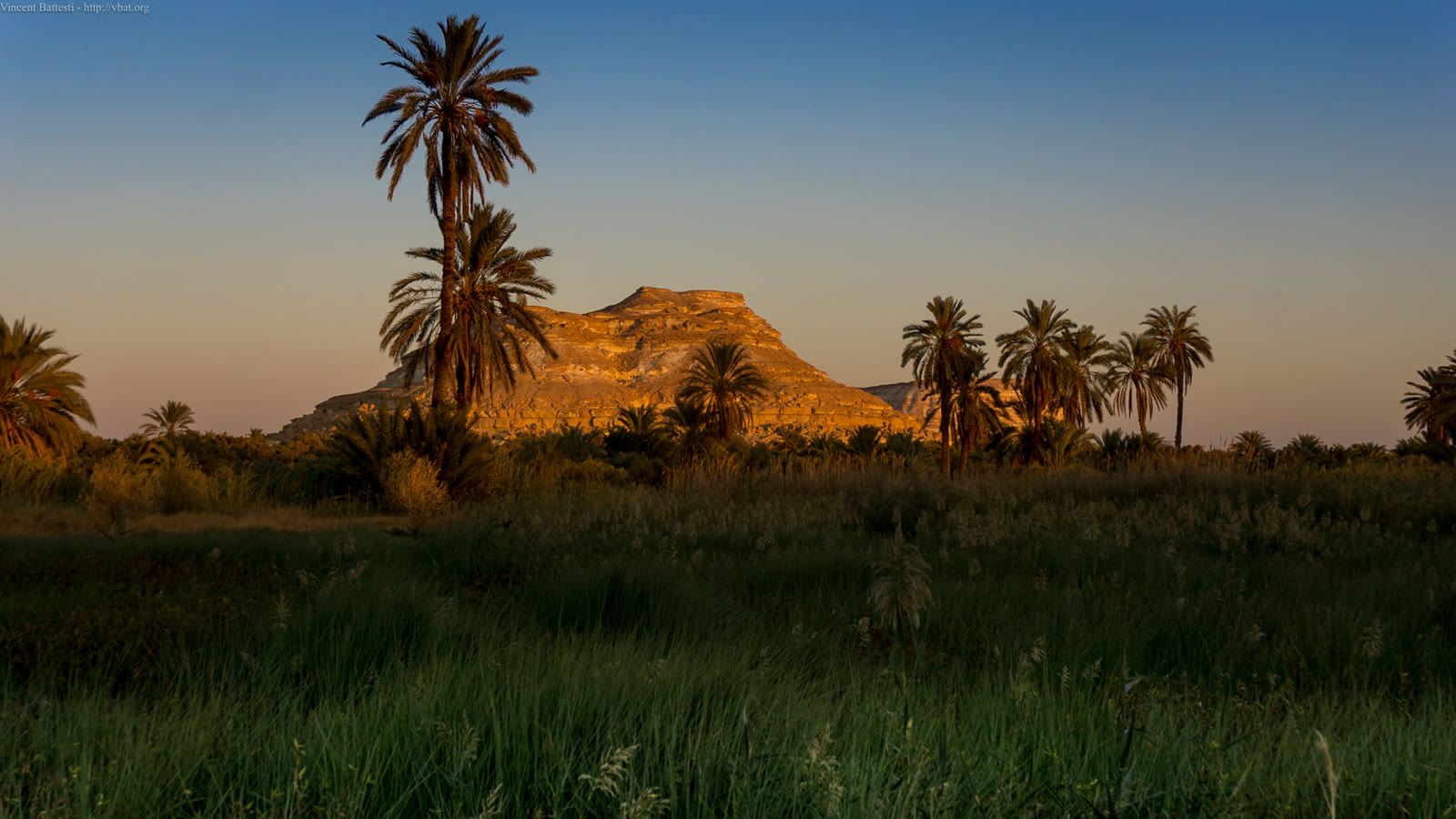 Golden sunset over palms and cultivated landscape in Siwa Oasis